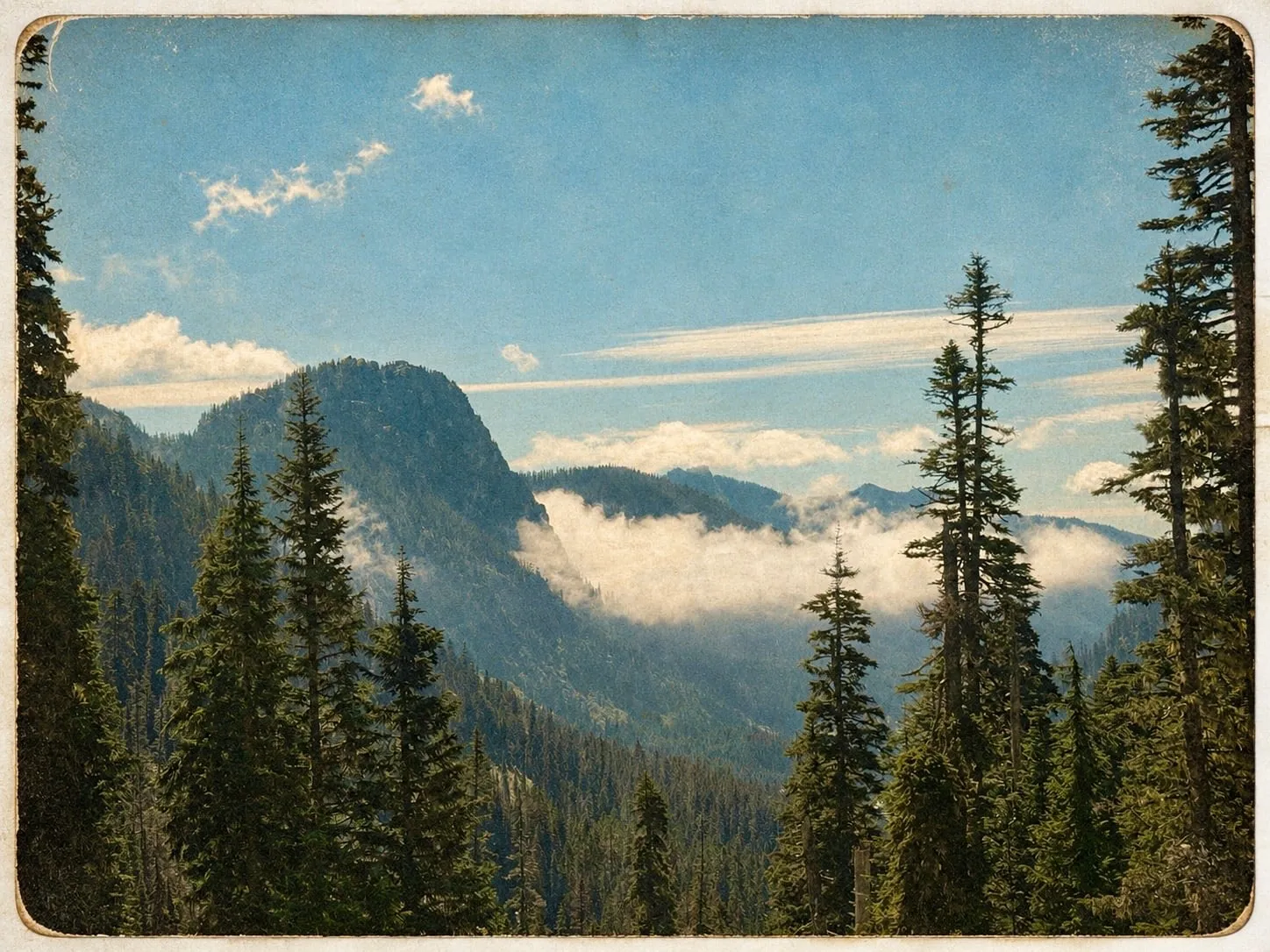 A forested valley with low cloud between the peaks, styled like an old postcard