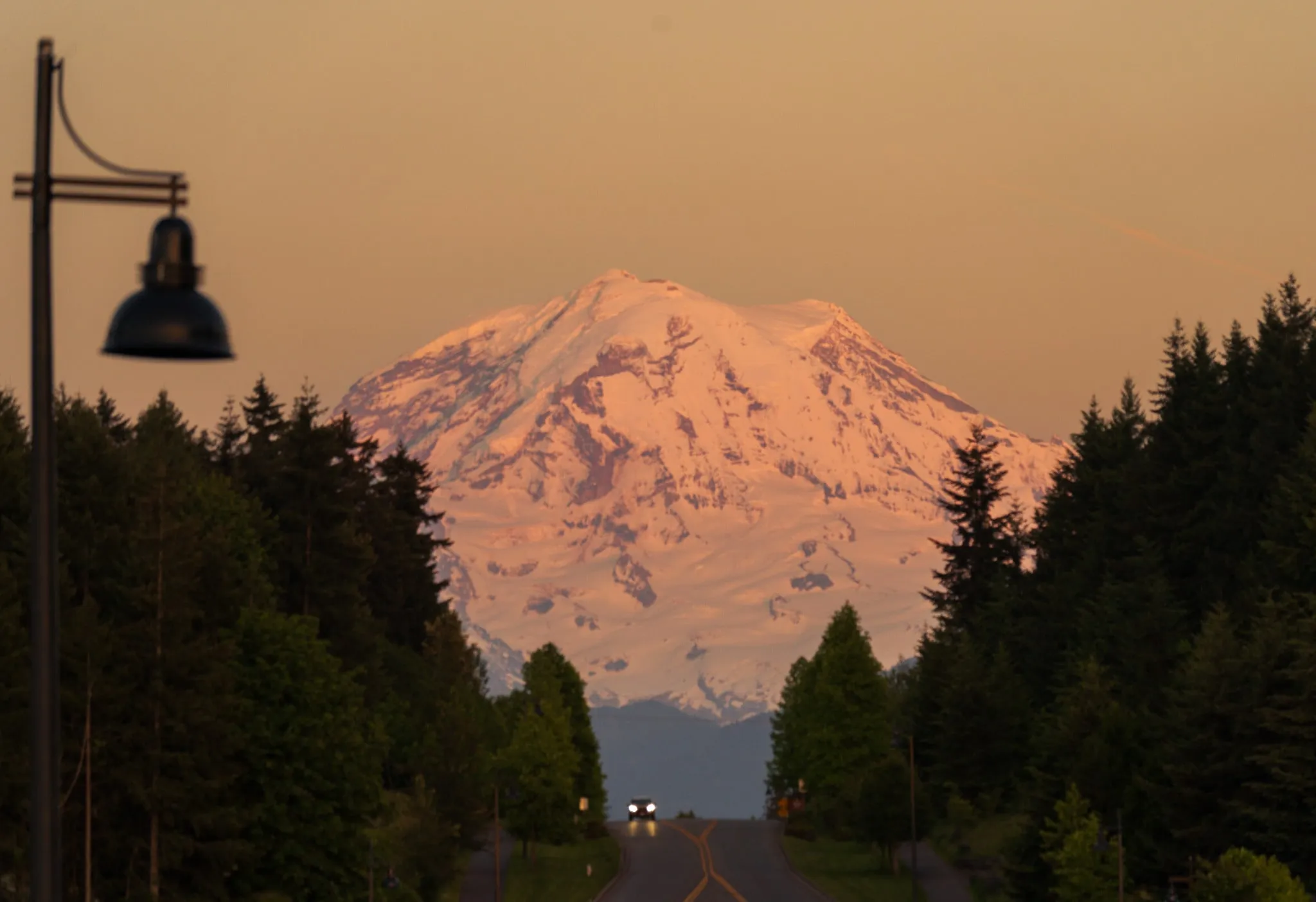 Mount Rainier glowing pink at dusk above a forest road with a single car